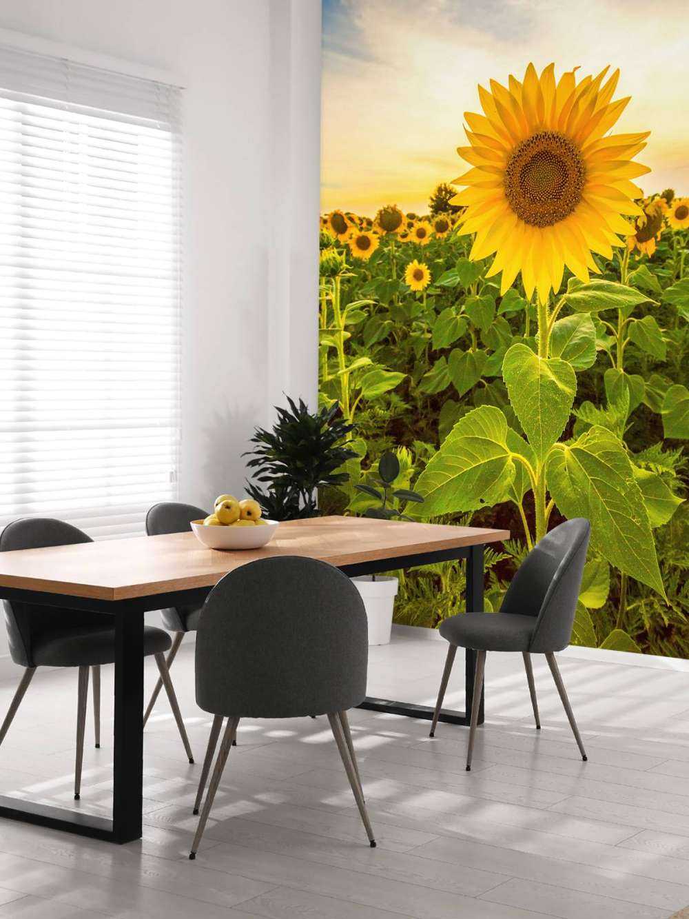Sonnenblume auf dem Feld
