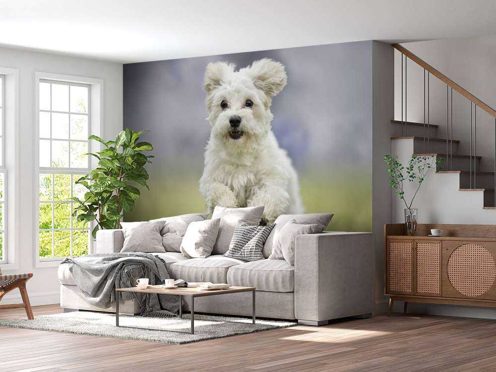 Laufender Hund