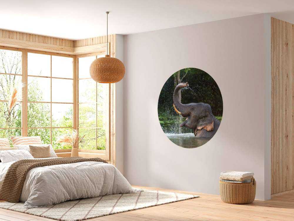 Elefant im Wasser