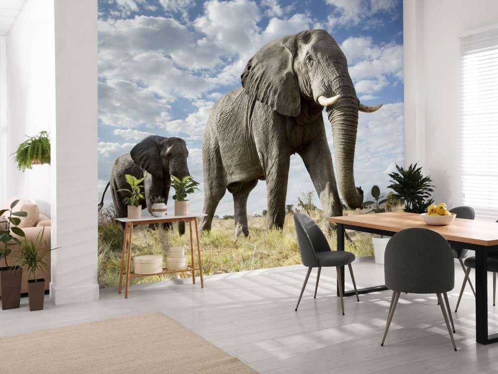 Vorbeiziehende Elefanten