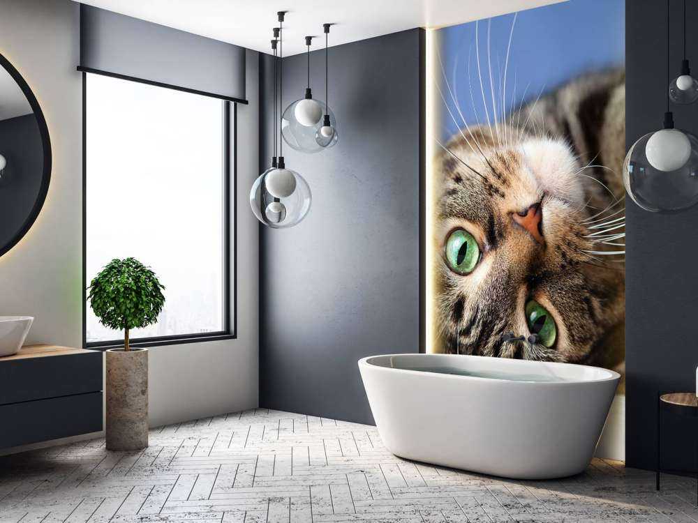 Rollende Katze