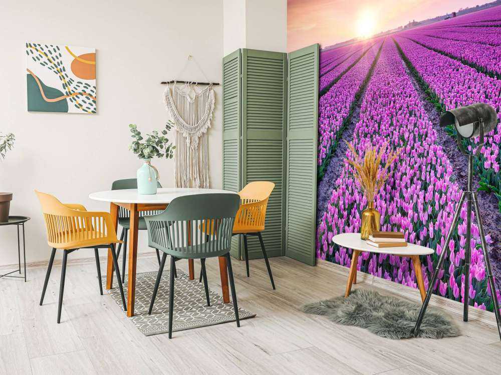 Tulpenfeld bei Sonnenaufgang