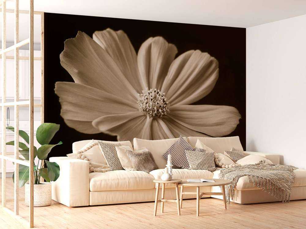 Kosmos Blume