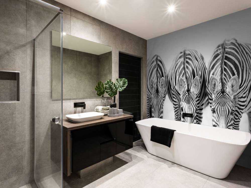 Three zebras
