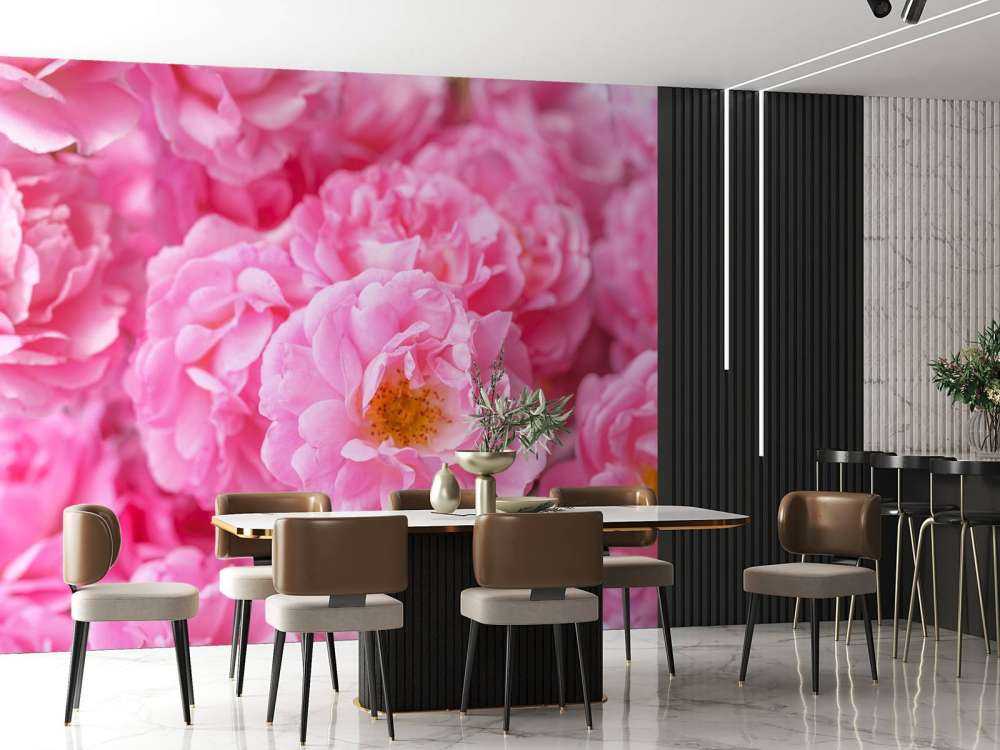 Mehrere rosa Rosen