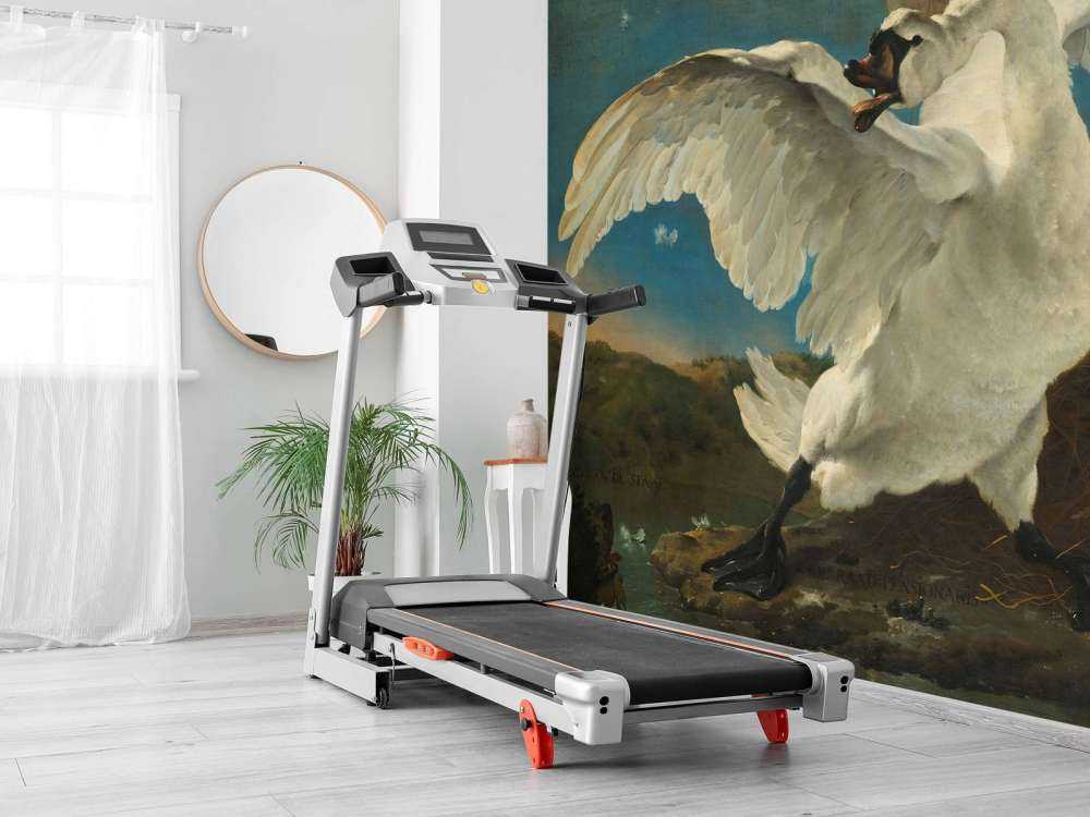 Der gefährdete Schwan