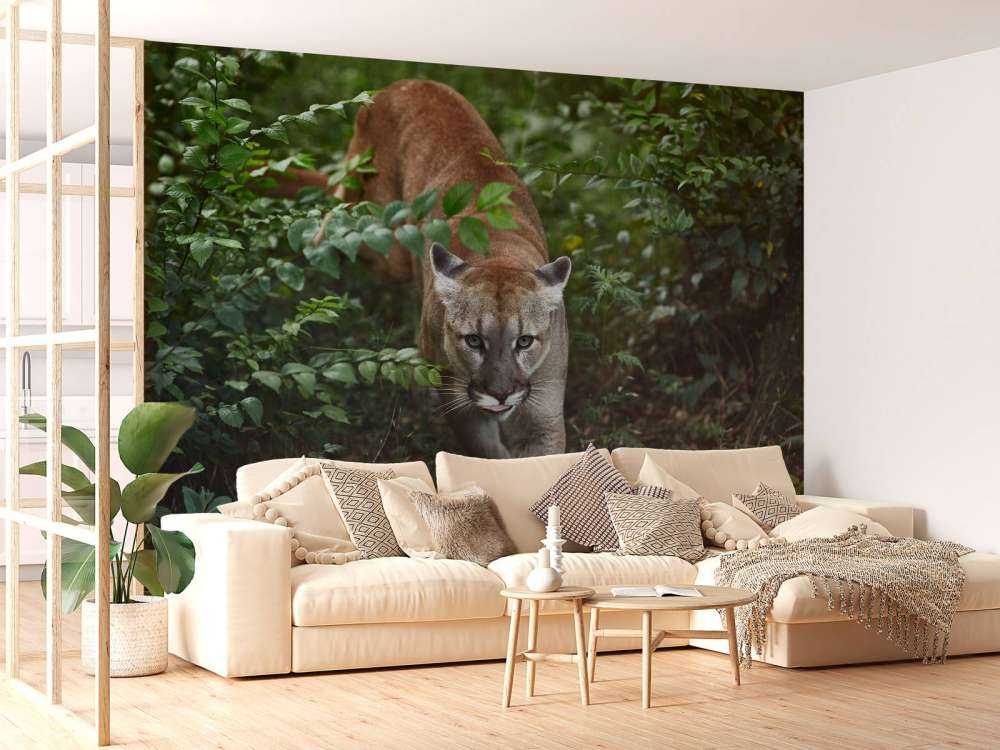 Schleichender Berglöwe