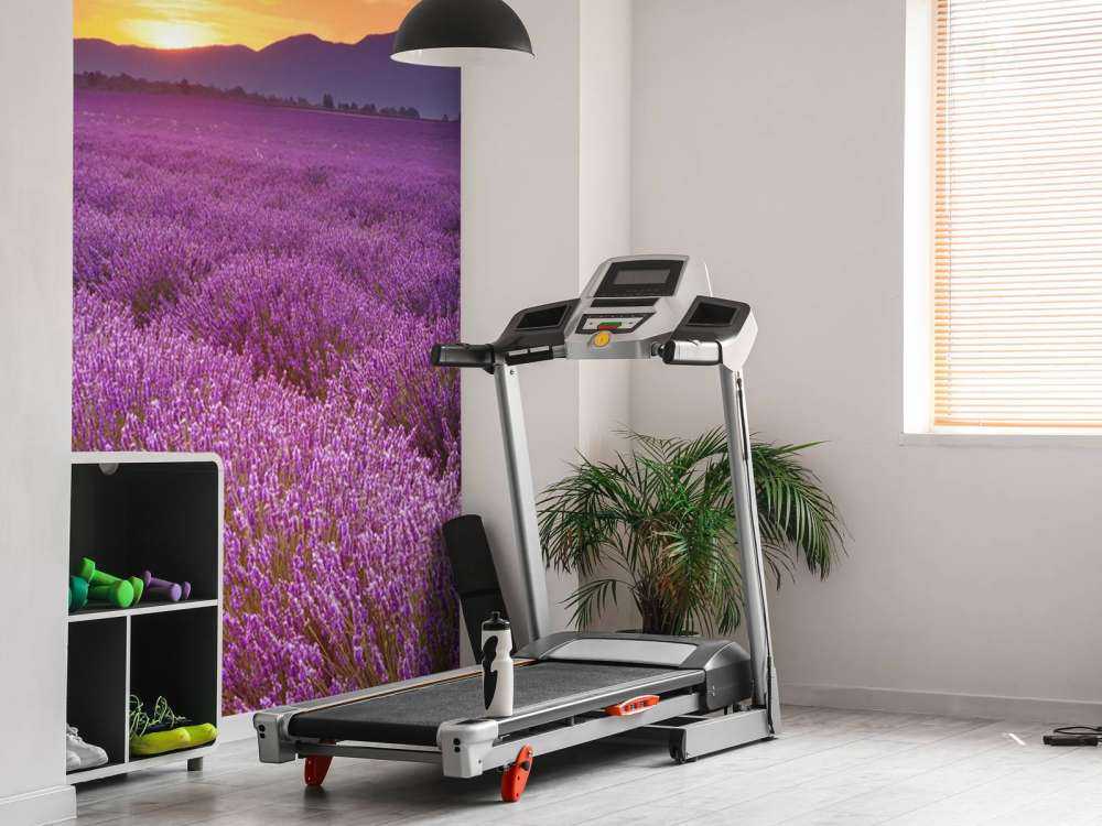 Feld voller Lavendel