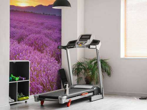 Feld voller Lavendel