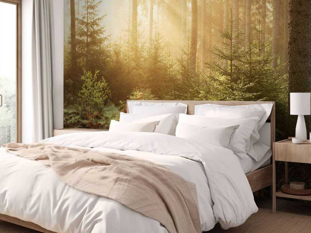 Sonnenstrahlen durch den Wald
