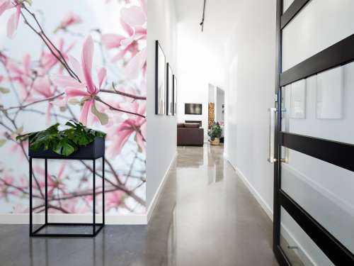 Magnolie