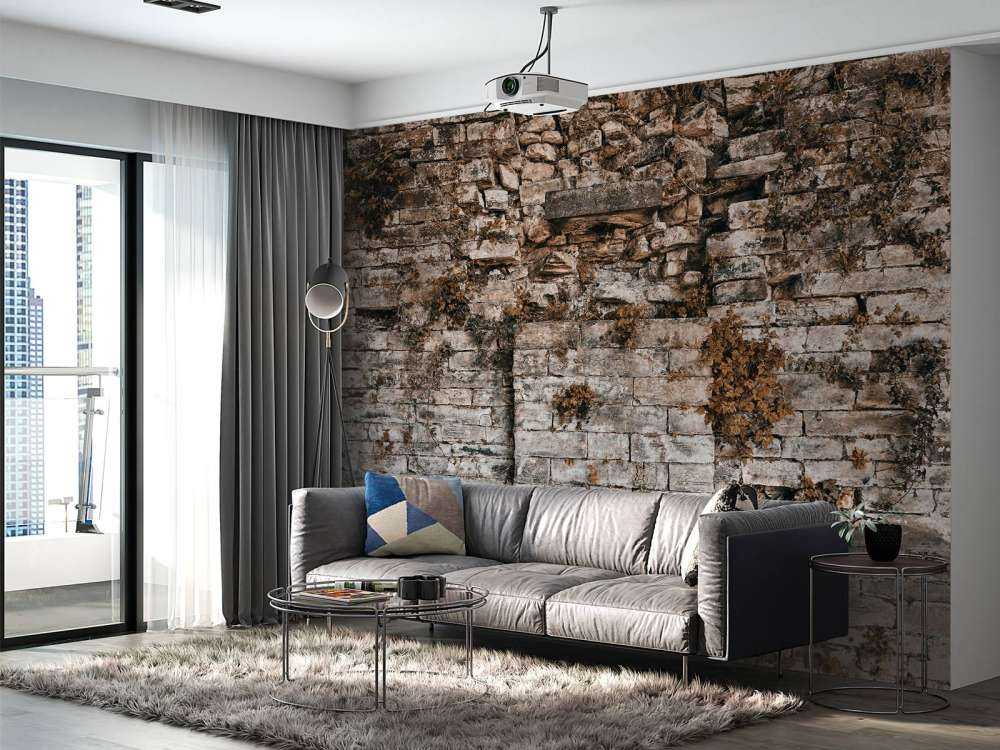 Begrünte Mauer im Herbst