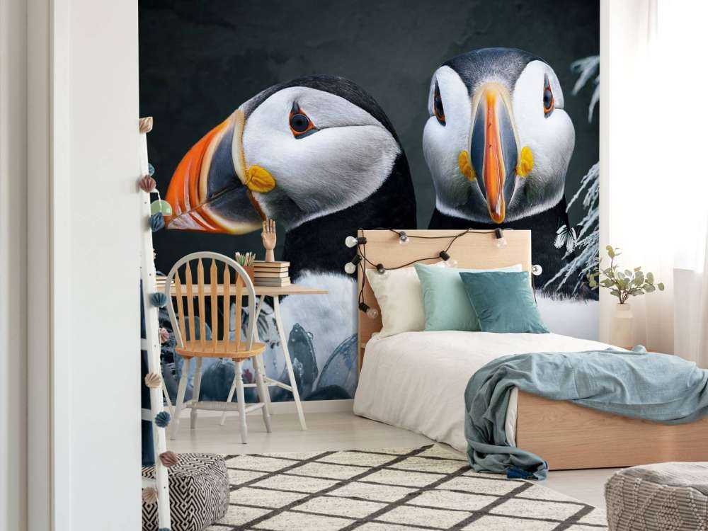 Atlantic Puffins