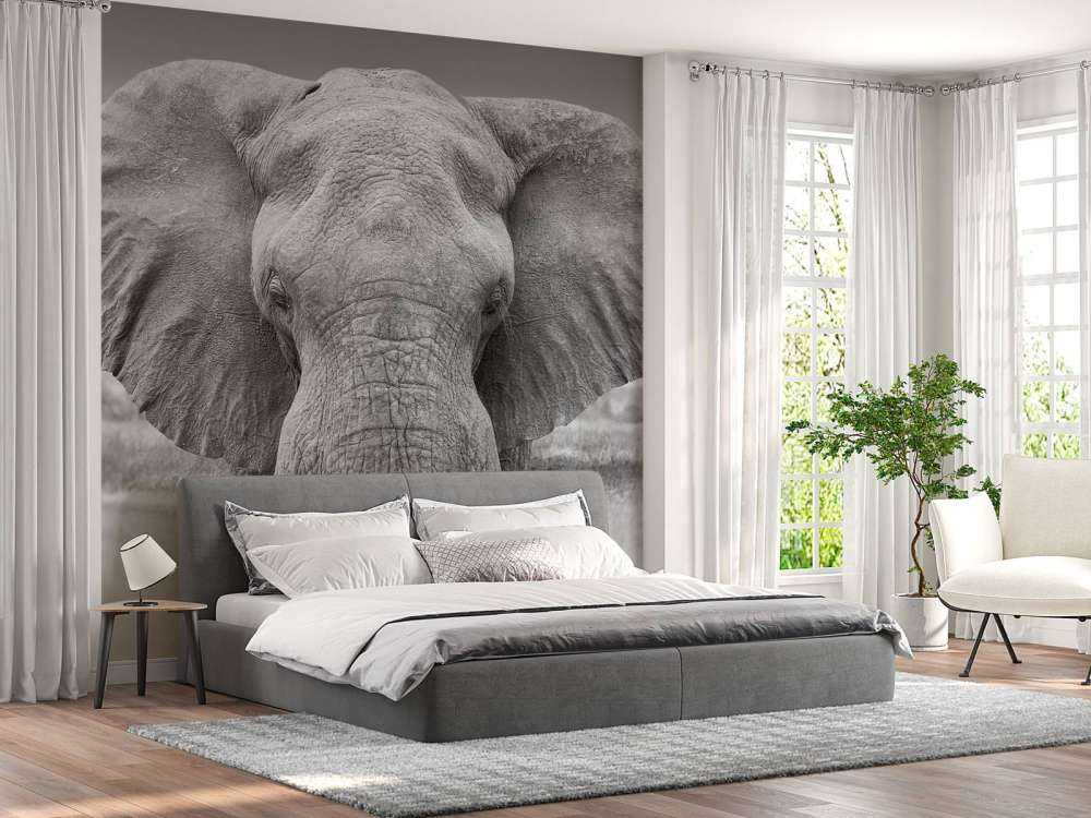 Elefant schwarz-weiß