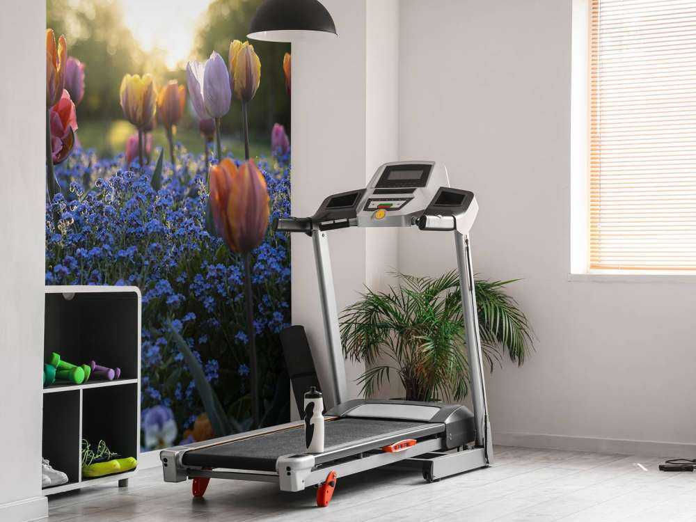 Heiteres Tulpenfeld