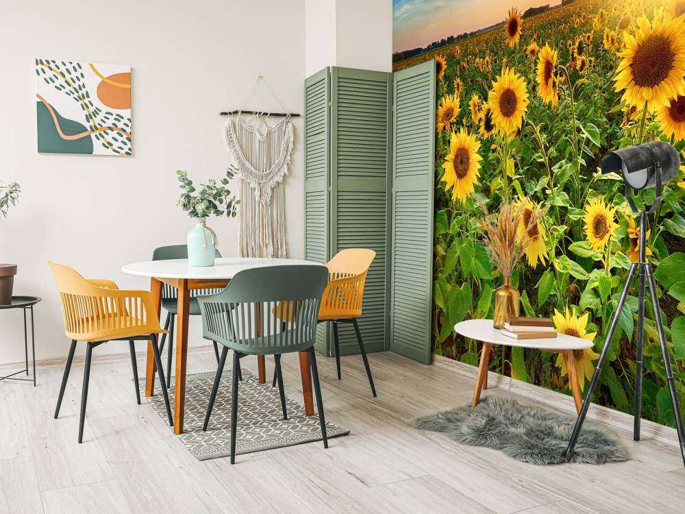 Schönes Sonnenblumenfeld