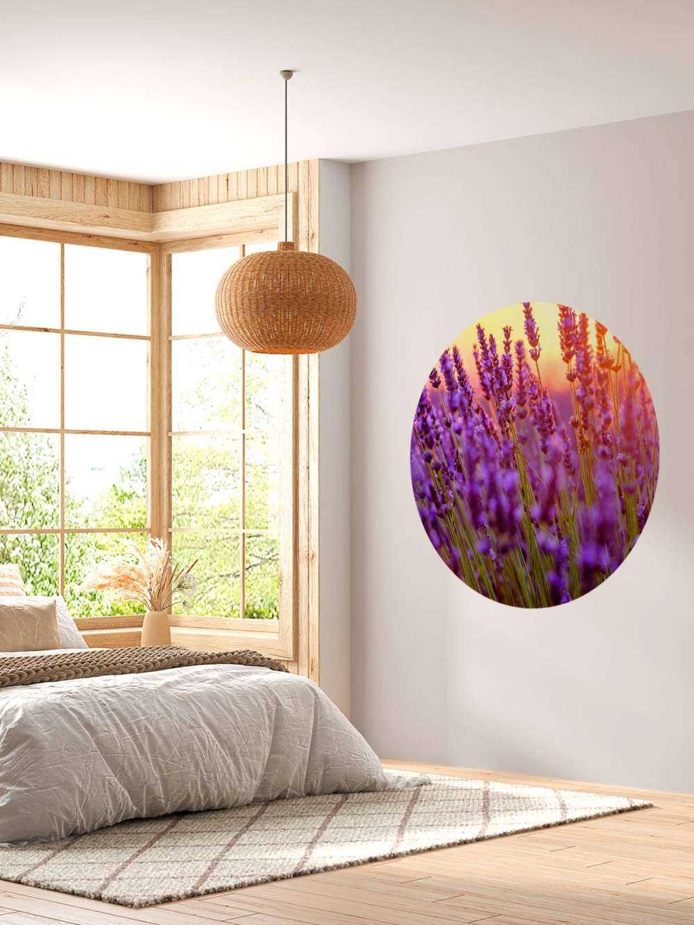 Nahaufnahme Lavendel