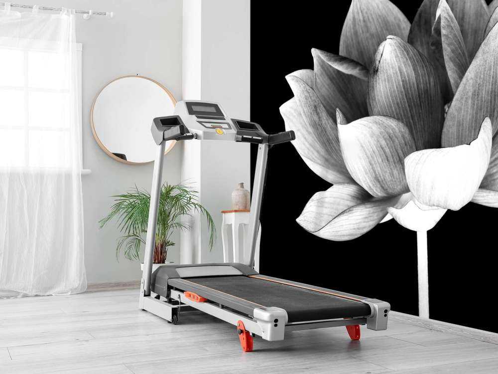 Gefesselter Lotus