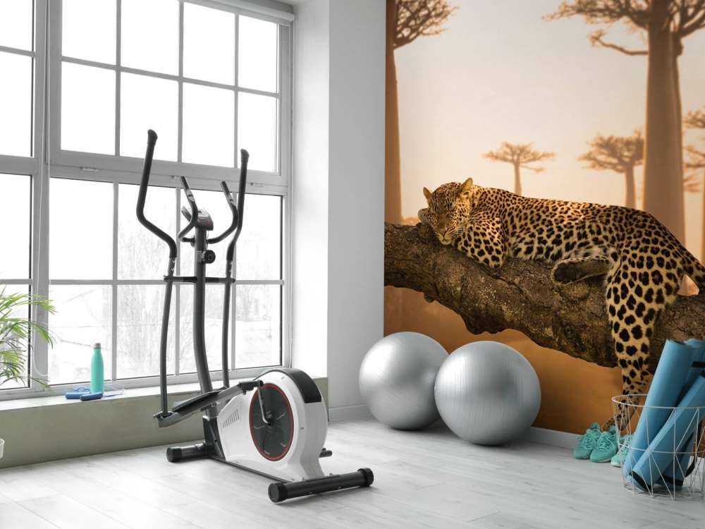 Schlafender Leopard