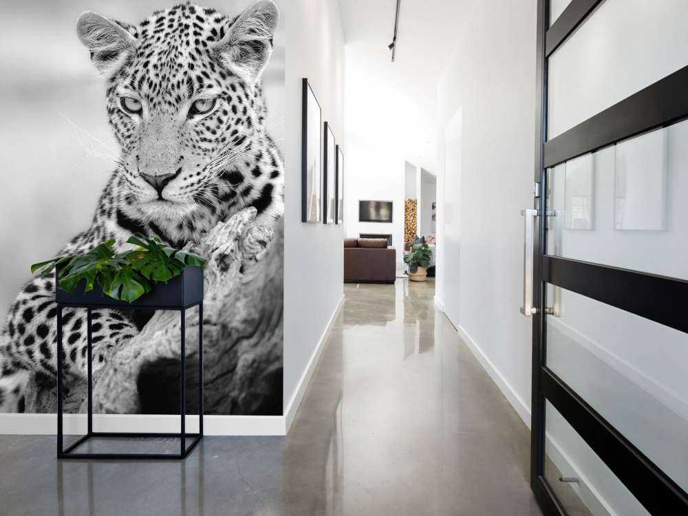 Leopard schwarz, weiß