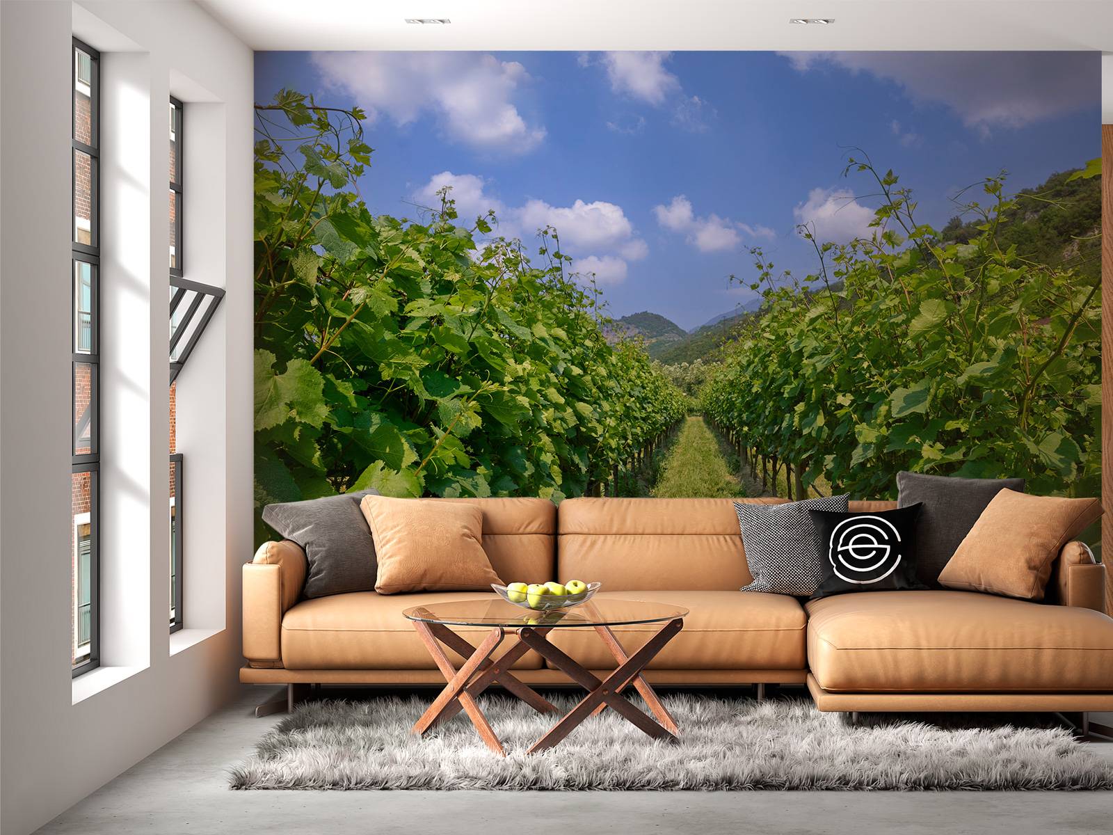 Weinberg in Italien
