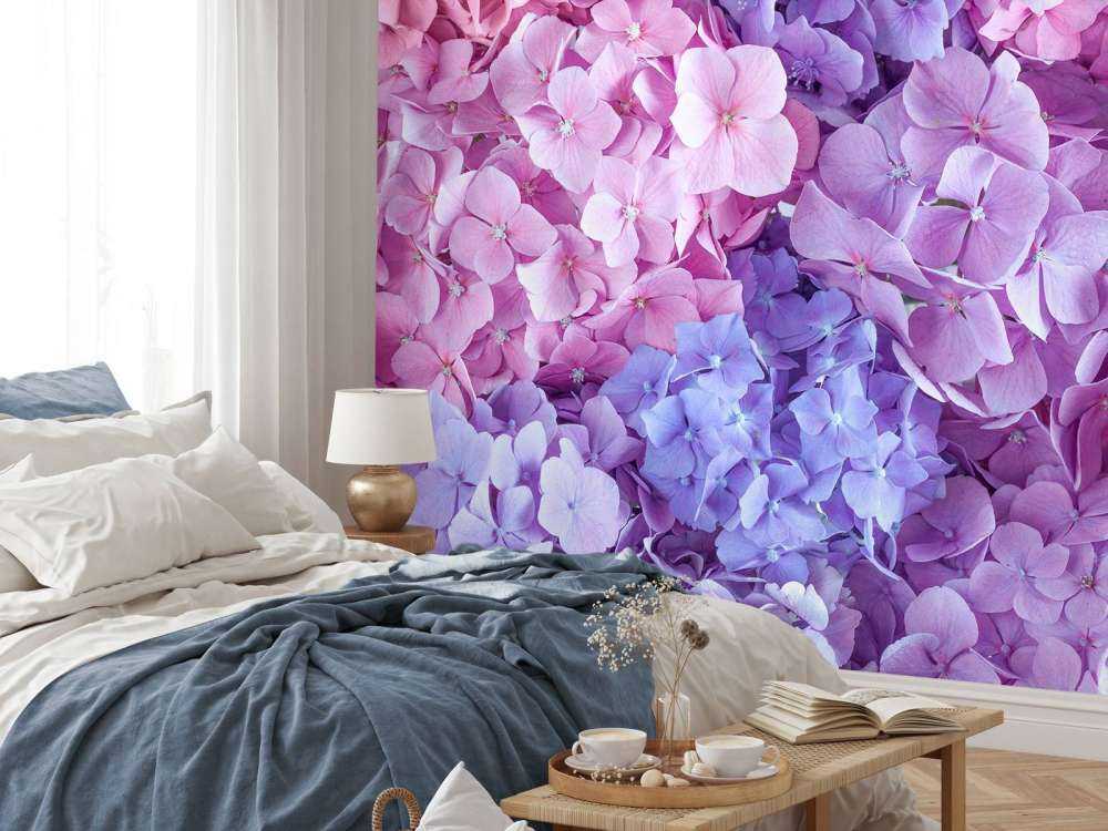 Bunte Hortensien