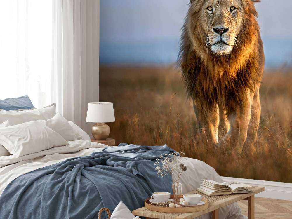 Lion Close Up