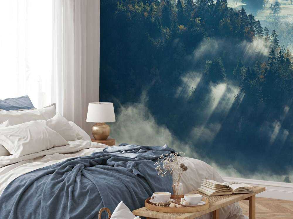 Nebelige Landschaft