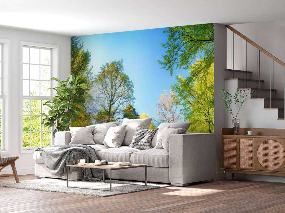 Frühlingslandschaft