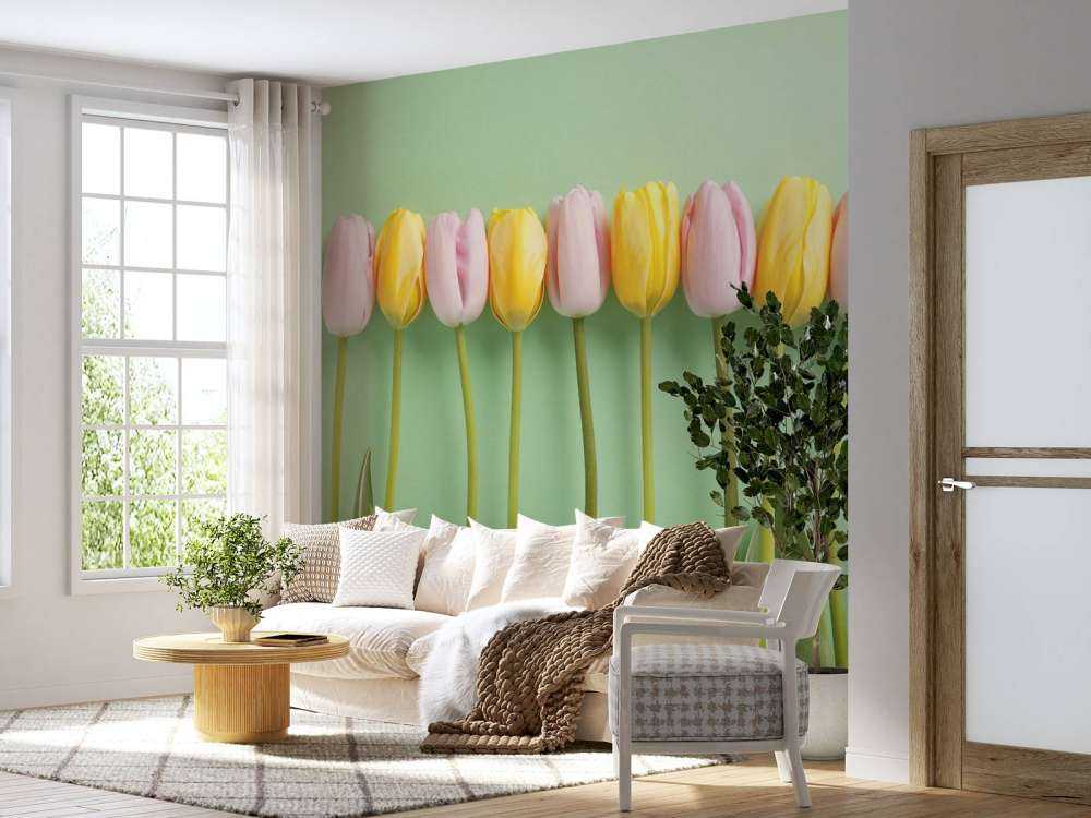 Tulpen auf minzgrüner Hintergrund