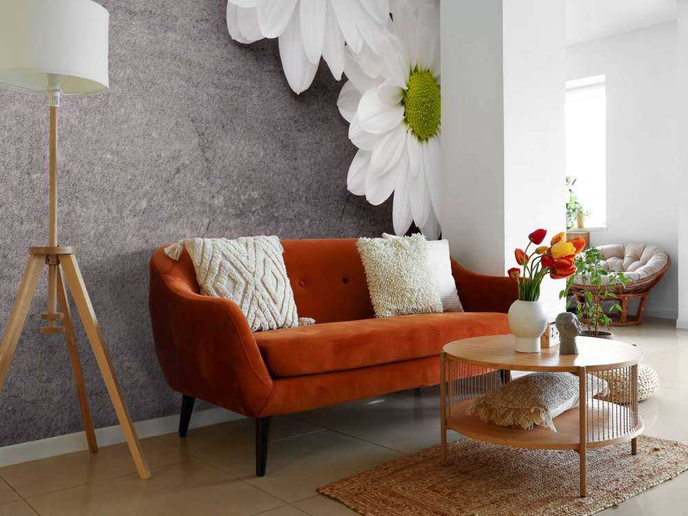 Gänseblümchen und Beton