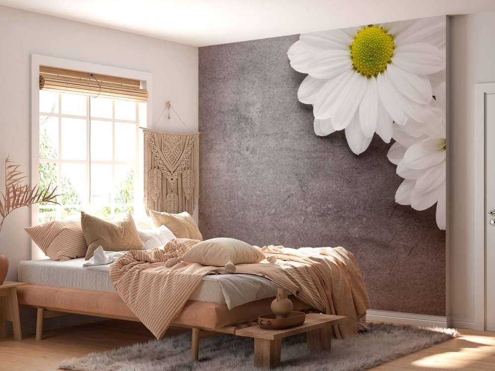 Gänseblümchen und Beton