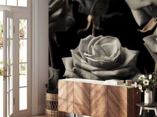 Sepia-Rosen