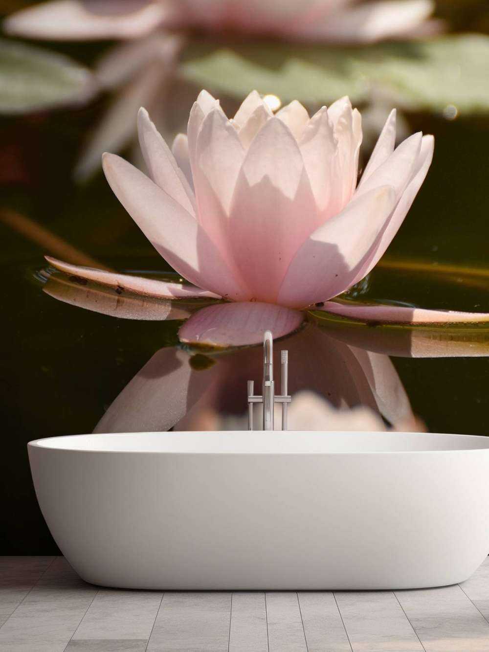 Lotusblume im Wasser