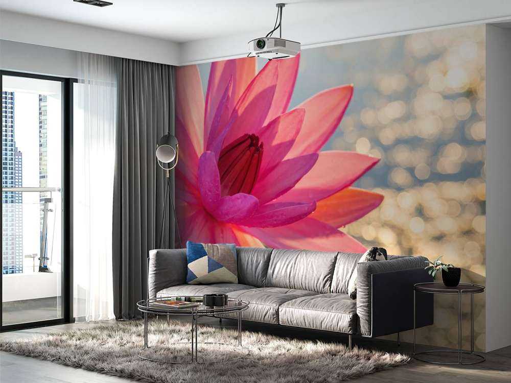 Lotusblume auf Wasser