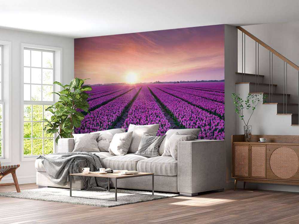 Tulpenfeld bei Sonnenaufgang