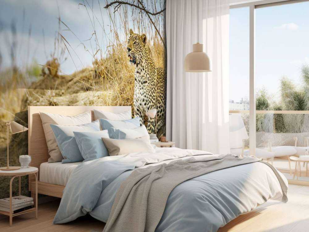 Leopard auf der Suche