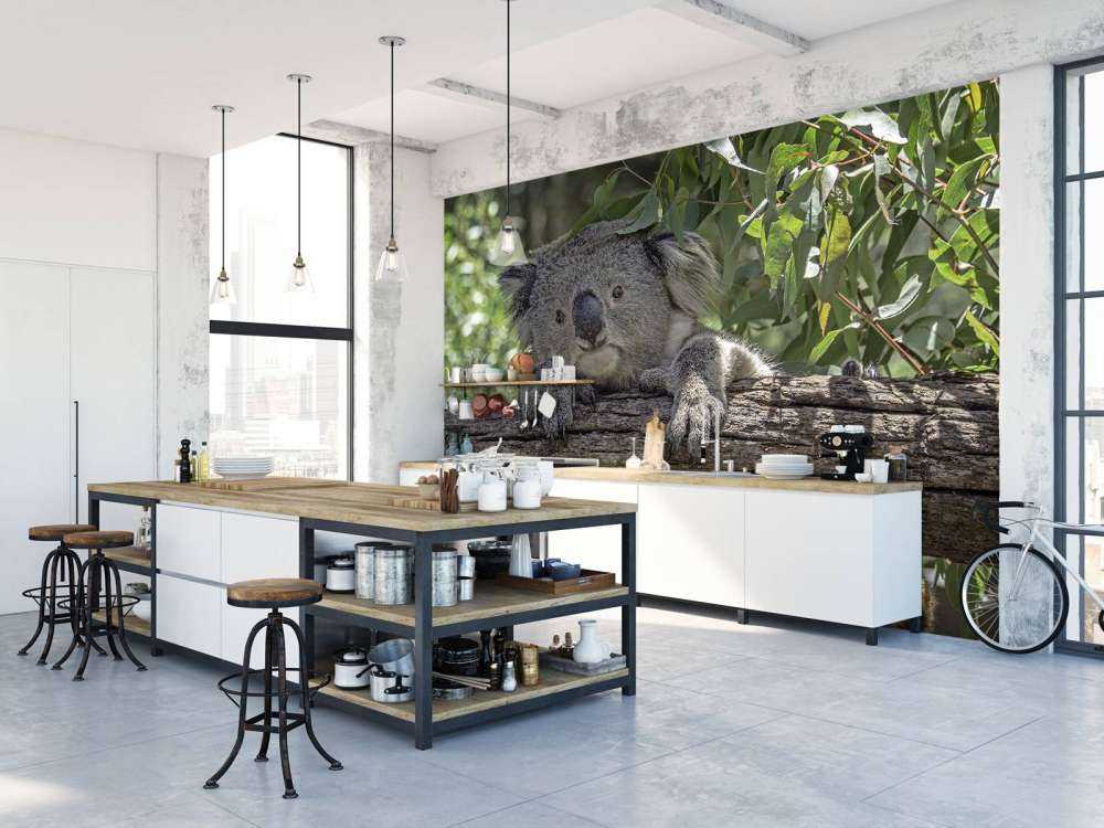 Niedlicher Koala