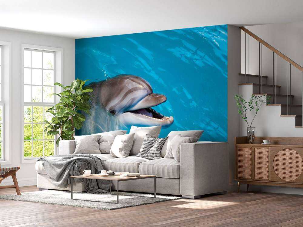 Freundlicher Delfin