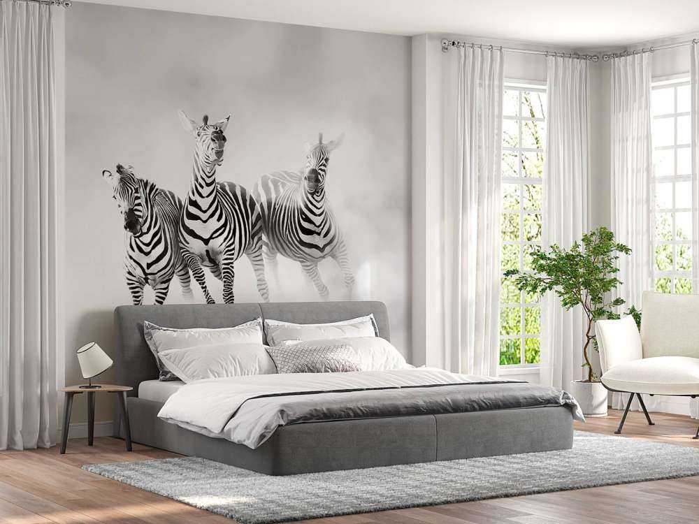Zebras