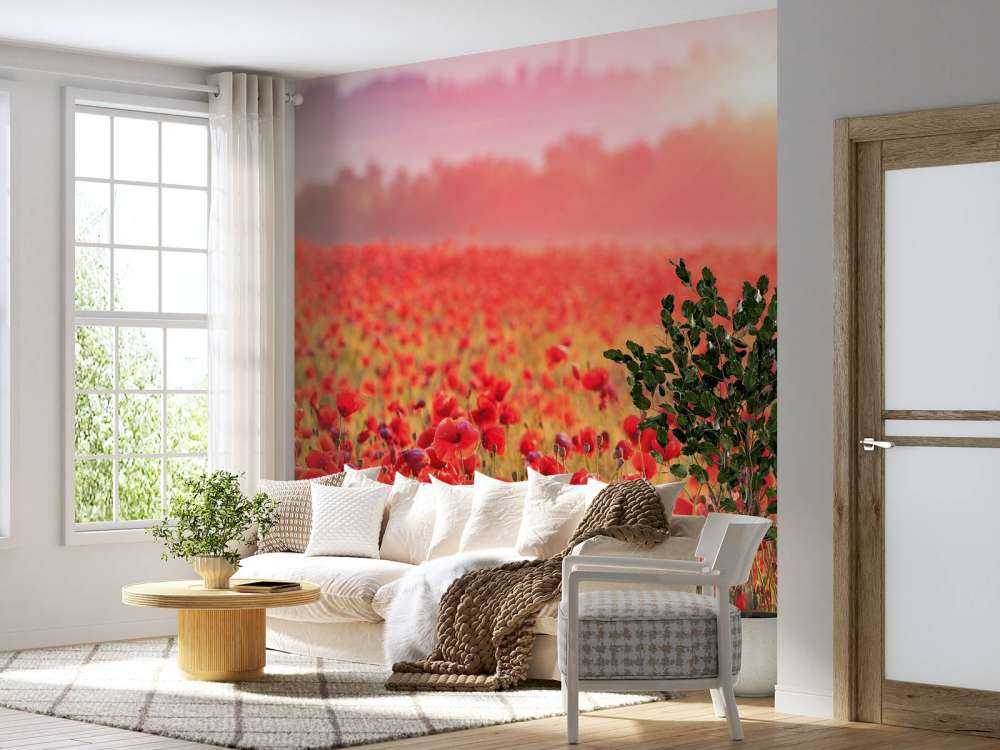 Feld mit Mohnblumen