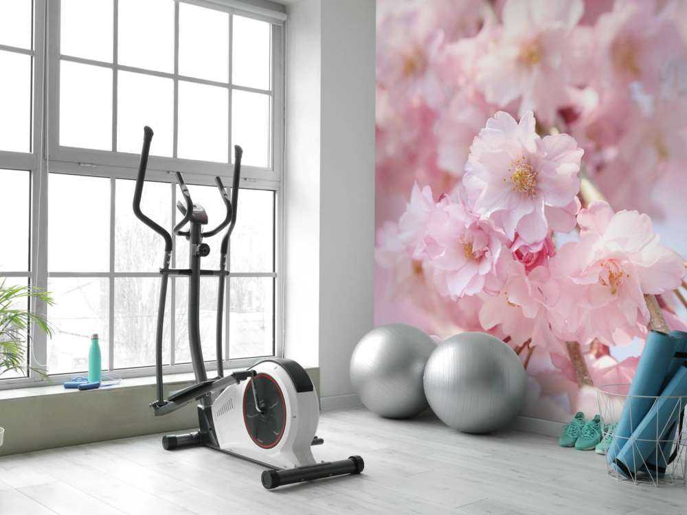 Nahaufnahme rosa Blüten