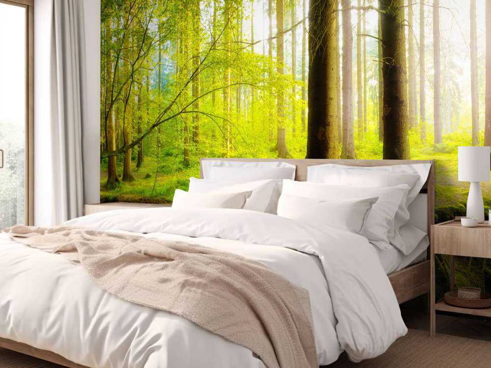 Frischer grüner Wald