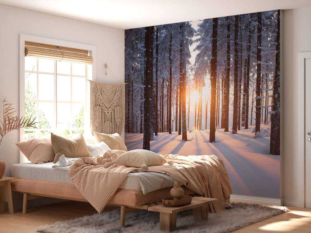 Sonnenuntergang in einem Winterwald