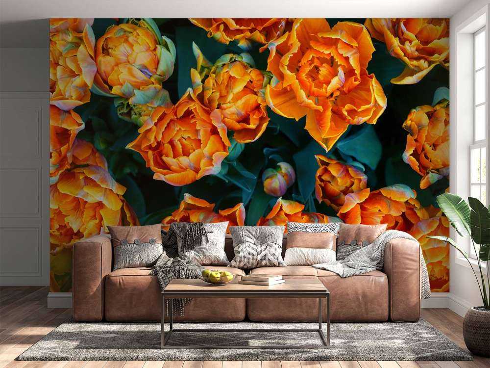 Nahaufnahme orangefarbene Tulpen