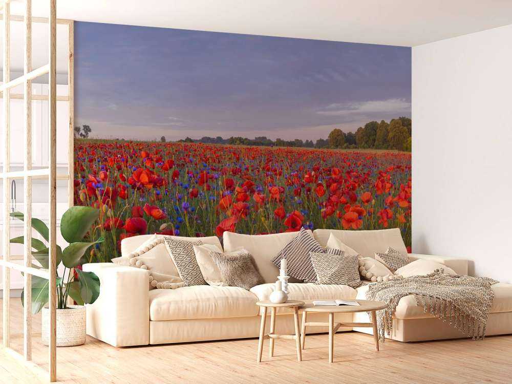 Blaue Blumen und rote Mohnblumen