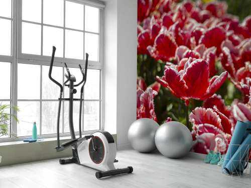 Rote Tulpen