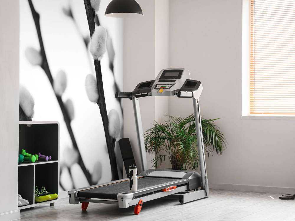 Waldweide in Schwarz und Weiß