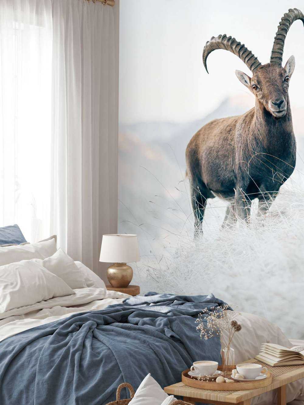 Alpensteinbock