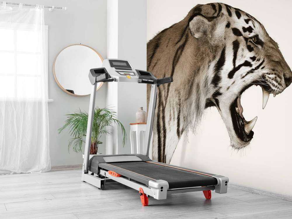 Brüllender Tiger cremefarben